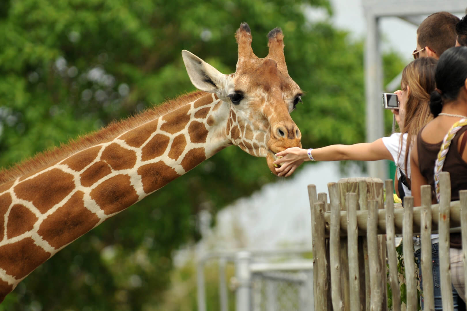 leuke uitjes in de meivakantie bezoek een dierenpark